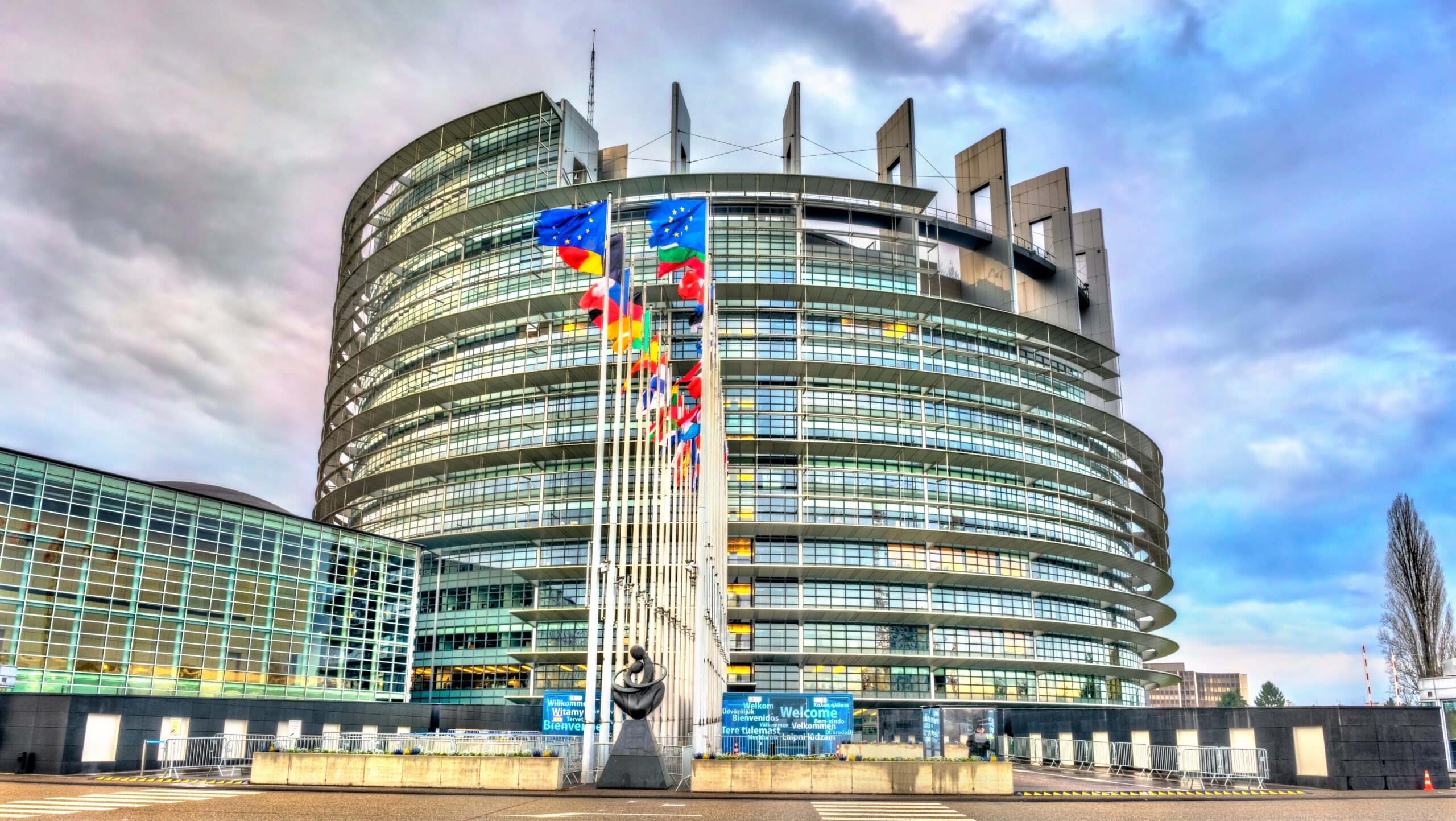 Voľby do Európskeho parlamentu
